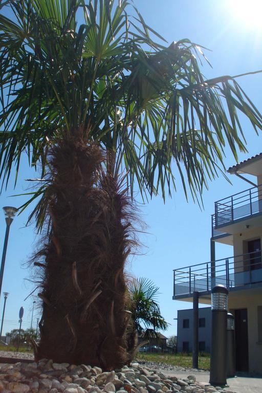 Hotel La Palmeraie Cornebarrieu Εξωτερικό φωτογραφία